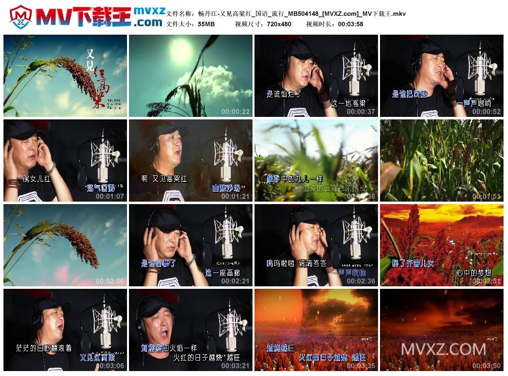 畅丹江-又见高粱红_国语_流行_MB504148